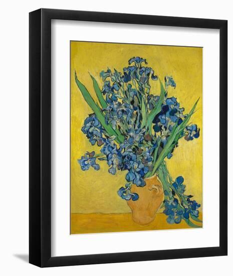 Irises, 1888-Vincent Gogh-Framed Art Print