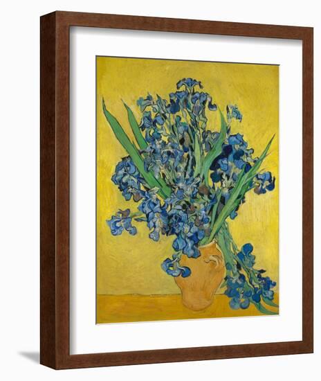 Irises, 1888-Vincent Gogh-Framed Art Print