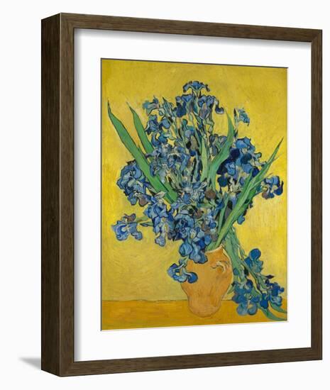 Irises, 1888-Vincent Gogh-Framed Art Print