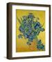 Irises, 1888-Vincent Gogh-Framed Art Print