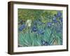 Irises, 1889 - Focus-Van Gogh Vincent-Framed Giclee Print