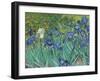 Irises, 1889 - Focus-Van Gogh Vincent-Framed Giclee Print