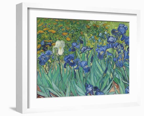 Irises, 1889 - Focus-Van Gogh Vincent-Framed Giclee Print