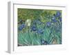 Irises, 1889 - Focus-Van Gogh Vincent-Framed Giclee Print