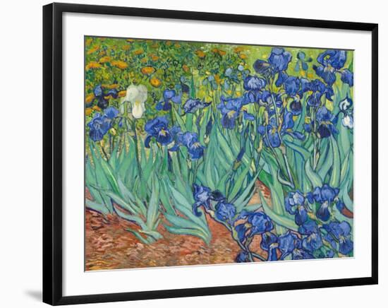 Irises, 1889-Vincent van Gogh-Framed Art Print