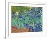 Irises, 1889-Vincent van Gogh-Framed Art Print