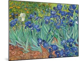 Irises, 1889-Vincent van Gogh-Mounted Art Print