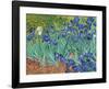 Irises, 1889-Vincent van Gogh-Framed Art Print