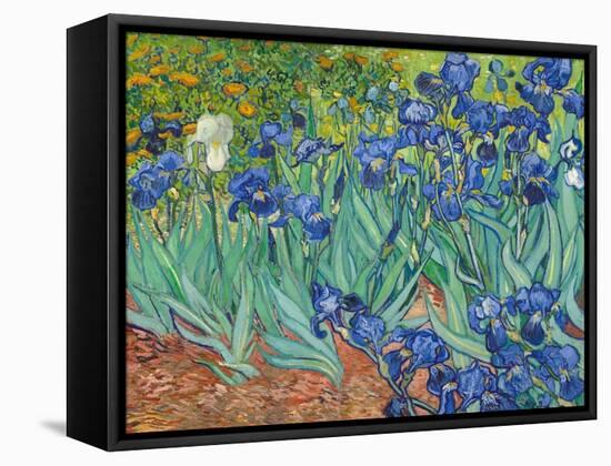 Irises, 1889-Vincent van Gogh-Framed Stretched Canvas