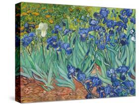 Irises, 1889-Vincent van Gogh-Stretched Canvas