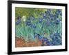 Irises, 1889-Vincent van Gogh-Framed Art Print