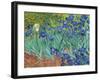 Irises, 1889-Vincent van Gogh-Framed Art Print