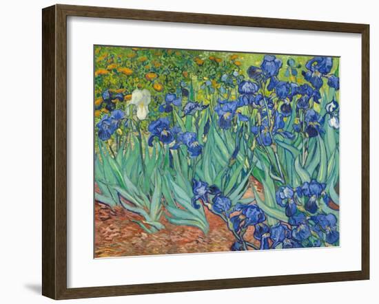 Irises, 1889-Vincent van Gogh-Framed Art Print