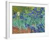 Irises, 1889-Vincent van Gogh-Framed Art Print