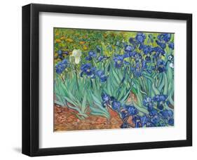 Irises, 1889-Vincent van Gogh-Framed Art Print