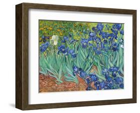 Irises, 1889-Vincent van Gogh-Framed Art Print