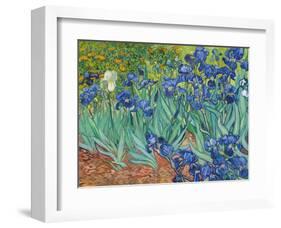 Irises, 1889-Vincent van Gogh-Framed Art Print