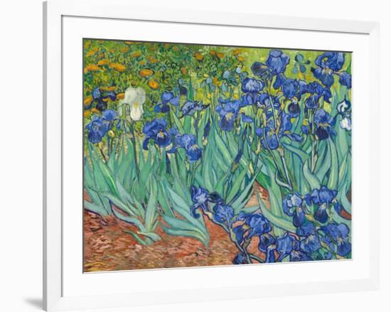 Irises, 1889-Vincent van Gogh-Framed Art Print