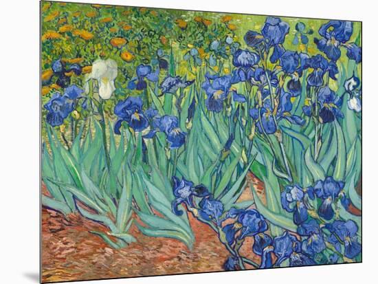 Irises, 1889-Vincent van Gogh-Mounted Art Print