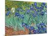 Irises, 1889-Vincent van Gogh-Mounted Art Print