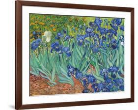 Irises, 1889-Vincent van Gogh-Framed Art Print