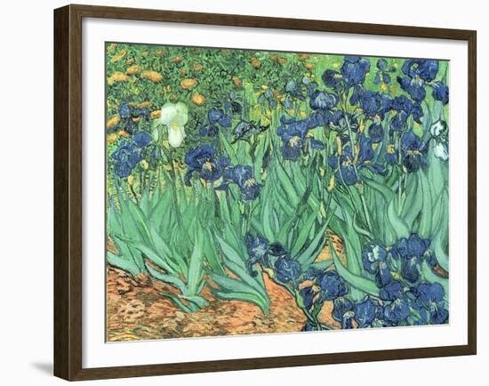 Irises, 1889-Vincent van Gogh-Framed Giclee Print