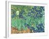 Irises, 1889-Vincent van Gogh-Framed Giclee Print