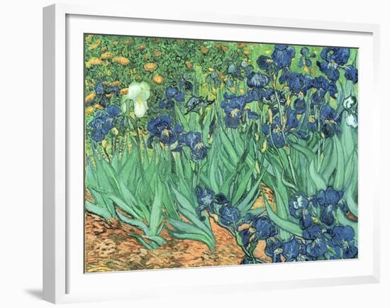 Irises, 1889-Vincent van Gogh-Framed Giclee Print