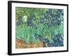 Irises, 1889-Vincent van Gogh-Framed Giclee Print