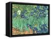 Irises, 1889-Vincent van Gogh-Framed Stretched Canvas