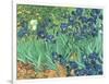 Irises, 1889-Vincent van Gogh-Framed Giclee Print