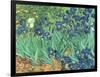 Irises, 1889-Vincent van Gogh-Framed Giclee Print