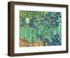 Irises, 1889-Vincent van Gogh-Framed Giclee Print