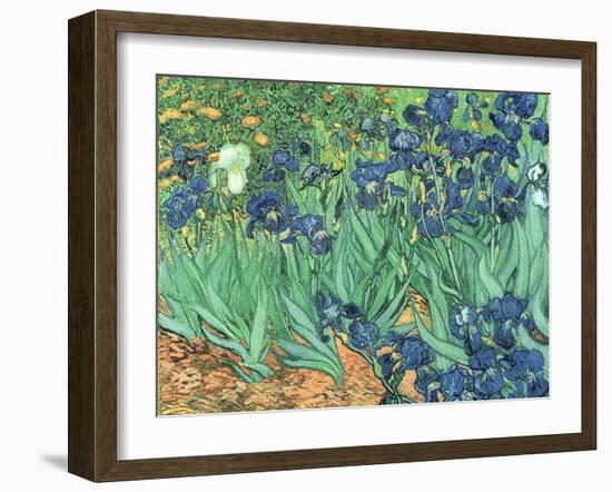 Irises, 1889-Vincent van Gogh-Framed Giclee Print