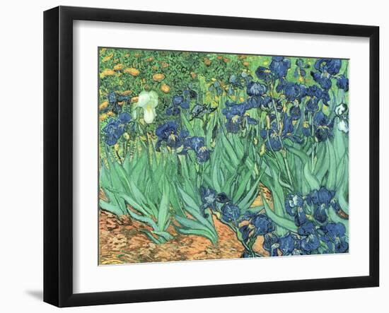 Irises, 1889-Vincent van Gogh-Framed Giclee Print