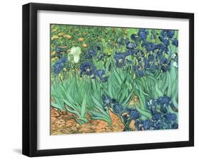 Irises, 1889-Vincent van Gogh-Framed Giclee Print