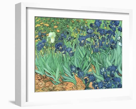 Irises, 1889-Vincent van Gogh-Framed Giclee Print