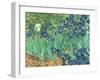 Irises, 1889-Vincent van Gogh-Framed Giclee Print