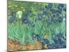 Irises, 1889-Vincent van Gogh-Mounted Giclee Print