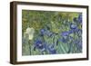 Irises, 1889-Vincent van Gogh-Framed Giclee Print