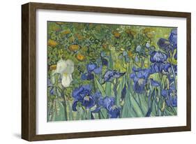 Irises, 1889-Vincent van Gogh-Framed Giclee Print