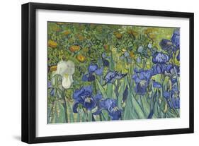 Irises, 1889-Vincent van Gogh-Framed Giclee Print