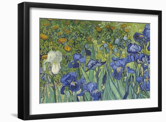 Irises, 1889-Vincent van Gogh-Framed Giclee Print