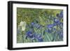 Irises, 1889-Vincent van Gogh-Framed Giclee Print