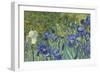 Irises, 1889-Vincent van Gogh-Framed Giclee Print