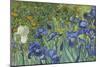 Irises, 1889-Vincent van Gogh-Mounted Giclee Print