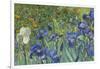 Irises, 1889-Vincent van Gogh-Framed Giclee Print