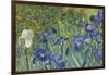 Irises, 1889-Vincent van Gogh-Framed Giclee Print