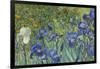 Irises, 1889-Vincent van Gogh-Framed Giclee Print