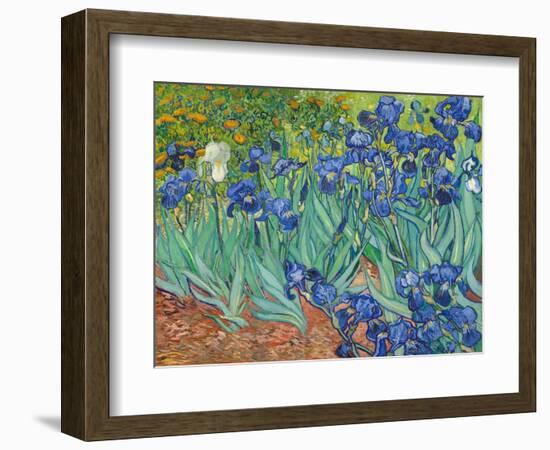 Irises, 1889-Vincent van Gogh-Framed Art Print